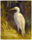 Egret Study II