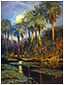 Moonrise Through the Palms