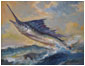 Sailfish, Oil Study