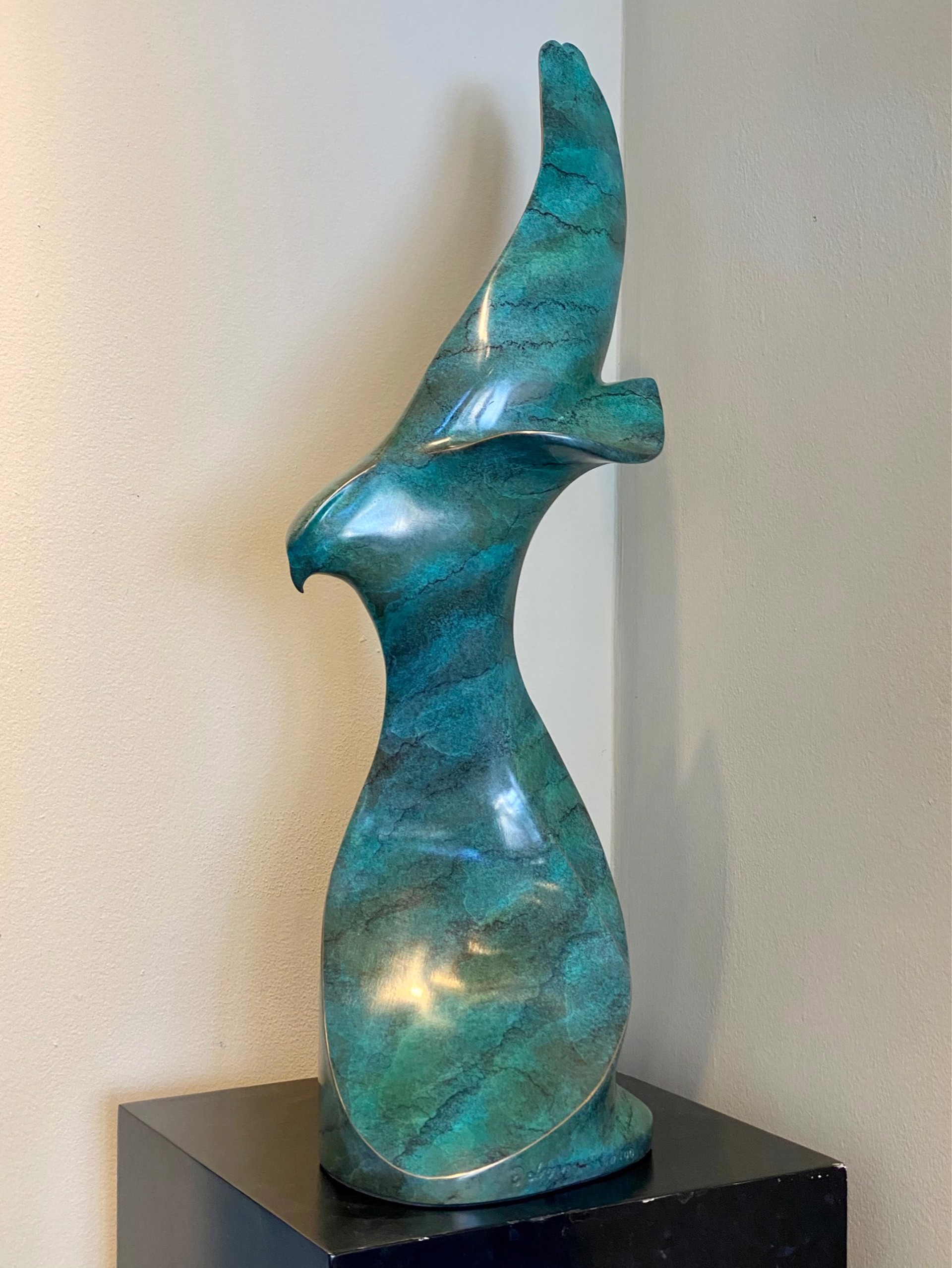 Soaring by Leo E. Osborne