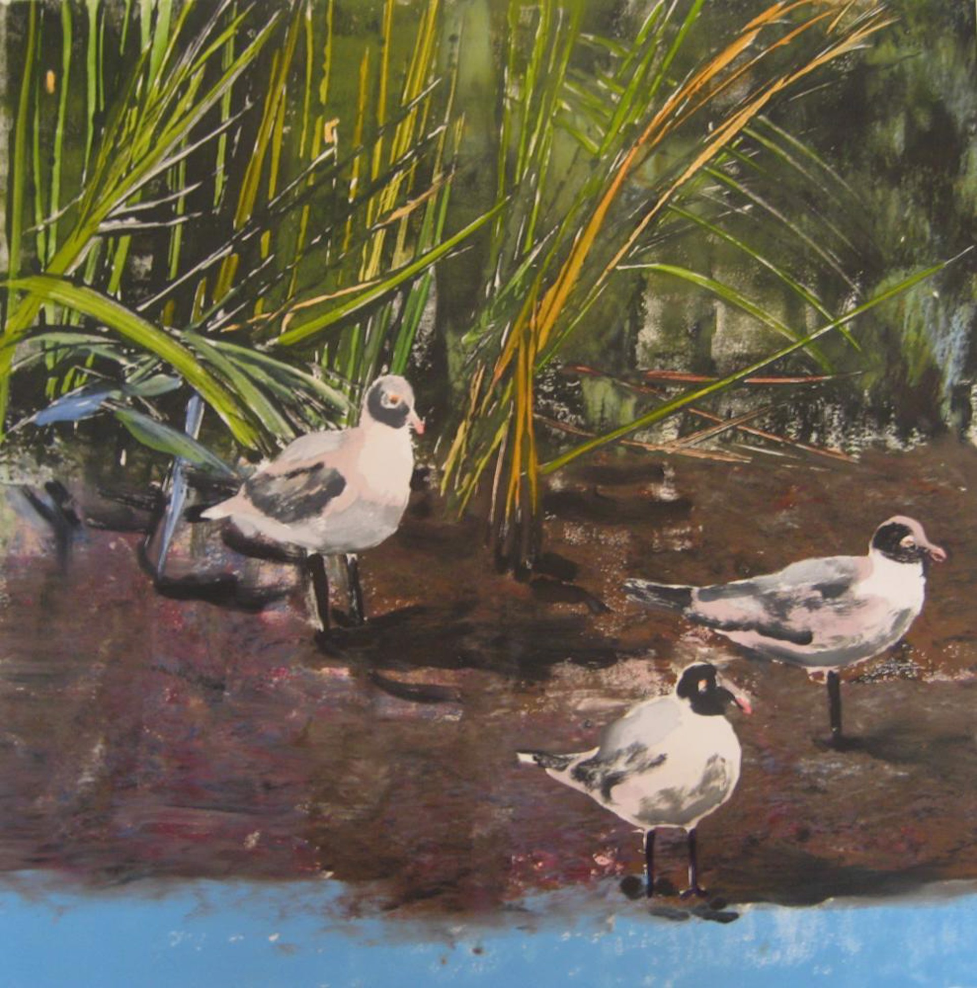 Walking in the Pluff Mud by Margaret Petterson