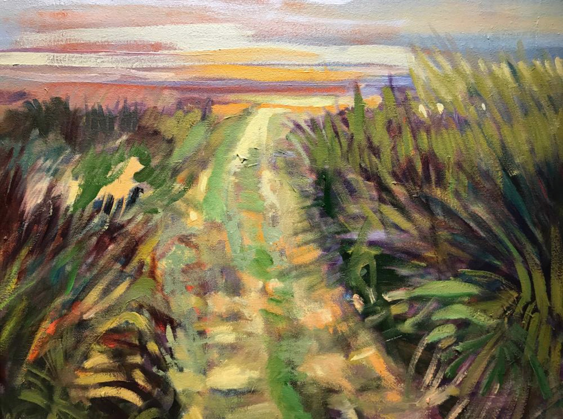Secret Path by Margaret Petterson
